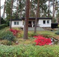 Schöner Bungalow auf großem Grundstück in gefragter Lage - Schönebeck (Elbe) Pretzien