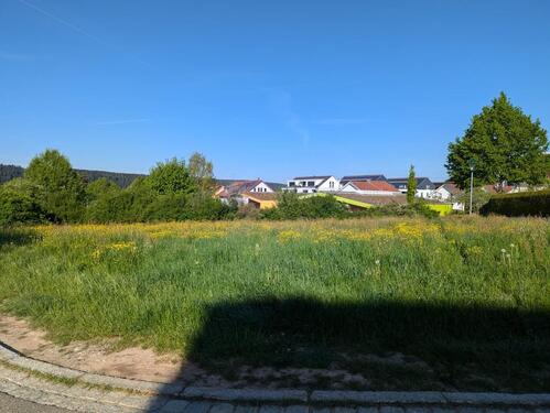 Foto - Baugrundstück in Freudenstadt- Nordstadt