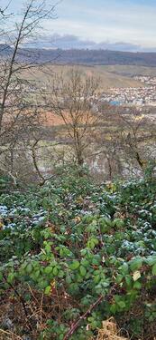 Foto - Grundst&uuml;ck in Fellbach