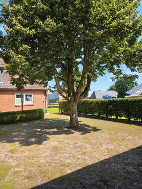 Foto - Einfamilienhaus in Löwenstedt