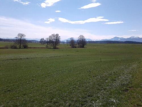 Foto - Vermiete Baugrundstück Tettenhausen Modulhaus Tinyhouse Waging