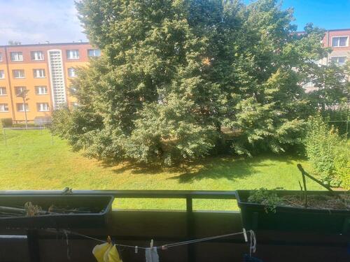 Foto - WGUnterverm. in Bad Doberan2 gr.Zimmer plus Balkon