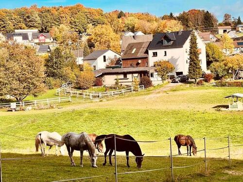 Foto - Ferienwohnung - 65,00&nbsp;EUR Kaltmiete,