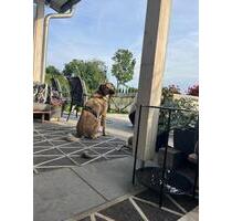 WG in DHH mit Garten und Hundem - Deggendorf