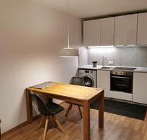 Möbliertes 1-Zi-Apartment, Vaihingen – S-Bahn + RE in 5 Min., EBK - Stuttgart