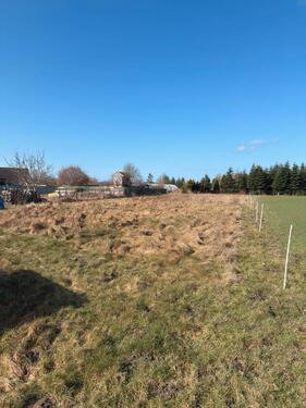 Foto - Einfamilienhaus in Bad Sülze zum Kaufen