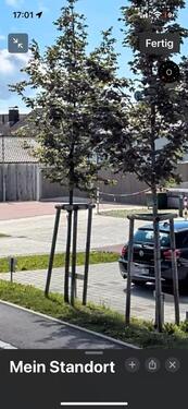 Foto - Parkplatz anbieten - 120,00 EUR Miete,