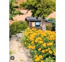 Kleingarten 140m2 Wittenberge - 50,00 EUR Kaltmiete, ca.  0,00 m² in Wittenberge (PLZ: 19322)