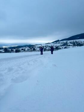Foto - TOP Ferienwohnung, Riekes Sauerland, Winter,Ski, Kurzurlaub