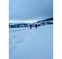 TOP Ferienwohnung, Riekes Sauerland, Winter,Ski, Kurzurlaub - Schmallenberg