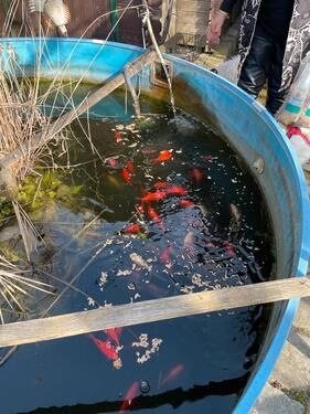 Foto - Grundst&uuml;ck in Cottbus