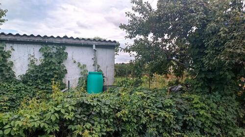 Foto - Grundst&uuml;ck zur Miete in Lübbenau (Spreewald)