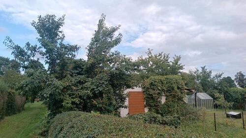 Foto - Grundst&uuml;ck in Lübbenau (Spreewald)