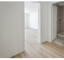 Studio möbliert saniert 23 qm hell perfekte Lage AC - Aachen Aachen-Mitte