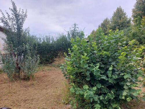 Foto - Grundstück in Eisenach