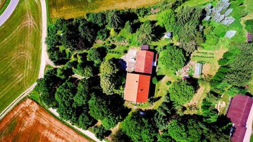 Foto - Einfamilienhaus zum Kaufen in Tann