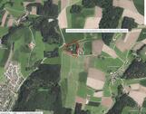 Foto - Einfamilienhaus in Tann