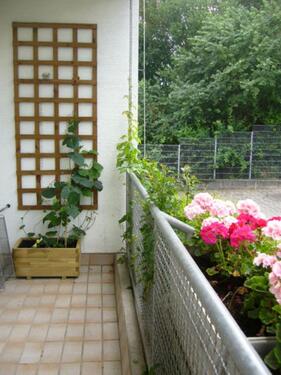 Foto - Schöne 2 Zimmer Wohnung in Reinheim