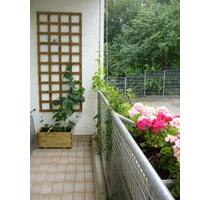 Schöne 2 Zimmer Wohnung in Reinheim