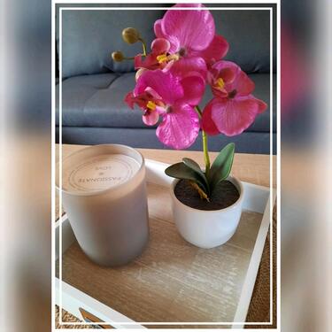 Foto - Wohnen auf Zeit - 780,00 EUR Kaltmiete,