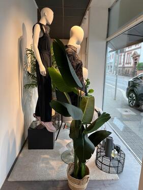 Foto - andere in Nidda zur Miete