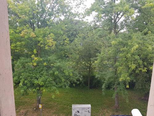 Foto - Etagenwohnung zur Miete in Wiesbaden