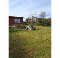 Garten in Kleingartenanlage - 300,00&nbsp;EUR Kaltmiete, ca.&nbsp; 0,00&nbsp;m&sup2; in Bad Düben (PLZ: 04849)