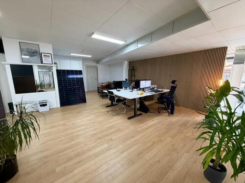 Foto - andere in Trossingen