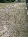 Foto - andere in Geesthacht