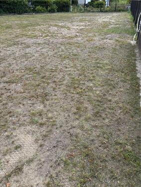 Foto - andere in Geesthacht