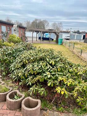 Foto - Erdgeschosswohnung Mietwohnung Wohnung