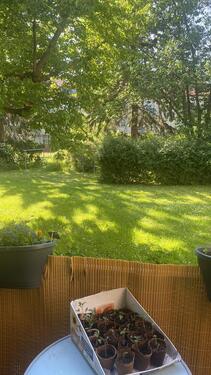 Foto - andere in Dresden