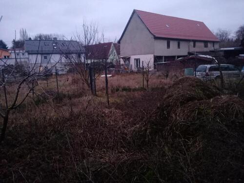 Foto - Einfamilienhaus in Am Ettersberg zum Kaufen