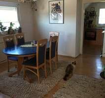 Foto - 3 Zimmer Dachgeschoßwohnung zur Miete in Friedrichsthal