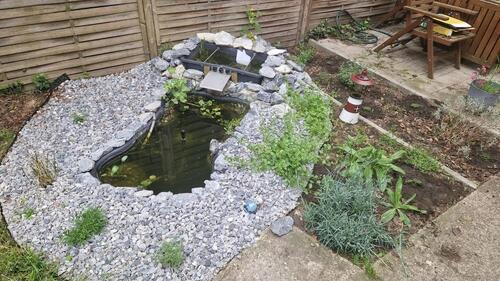 Foto - Helle 3,5-Zimmer-Erdgeschosswohnung mit eigenem Garten & Garage –