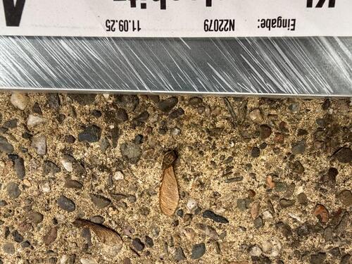 Foto - andere in Saffig zur Miete