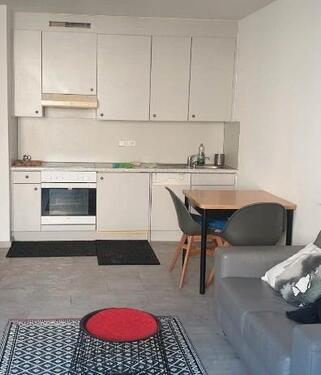 Foto - STUDIO APARTMENT SUBLET 1.11-10.12.2025