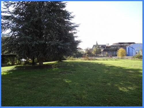 Foto - andere in Radolfzell am Bodensee