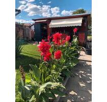 Kleingarten in Heidenau abzugeben - Altenberg Geising