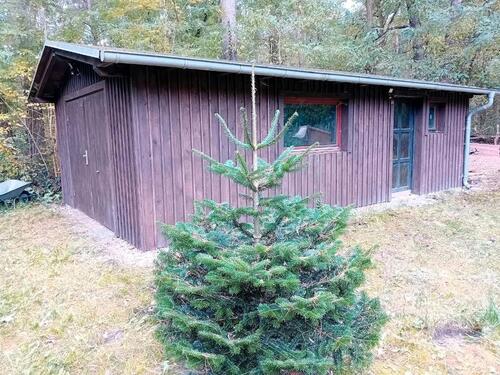 Foto - 3 Zimmer Bungalow zum Kaufen in Groß Köris