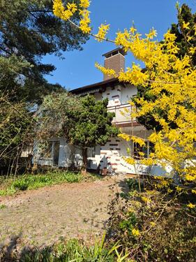 Foto - Einfamilienhaus in Birkenau