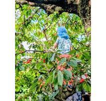 Raus ins Grüne, ab an den See: Kleingarten in Cottbus