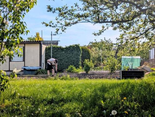 Foto - Grundst&uuml;ck in Cottbus
