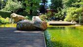 Foto - andere in Pullach im Isartal