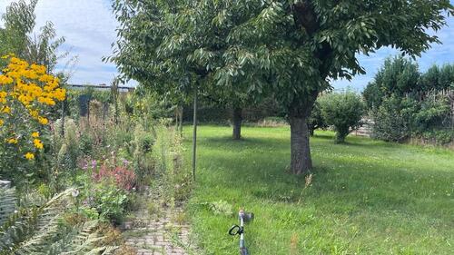 Foto - 4 Zimmer Doppelhaushälfte in Wittenberg Lutherstadt