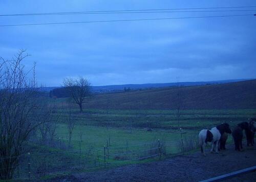 Foto - 2 Zimmerwohnung auf Pferdehof, Miete warm all inclusive