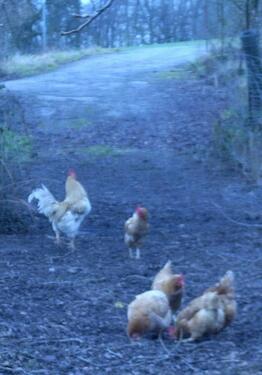 Foto - Etagenwohnung in Kraichtal zur Miete