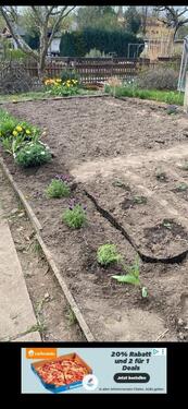 Foto - Grundst&uuml;ck zur Miete in Dresden
