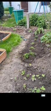 Foto - Grundst&uuml;ck in Dresden