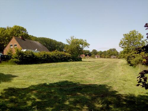 Foto - Einfamilienhaus zum Kaufen in Krummhörn